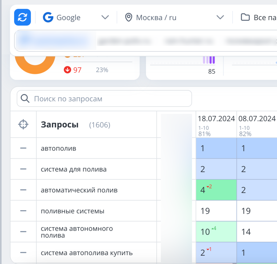Количество запросов и процент в ТОПе