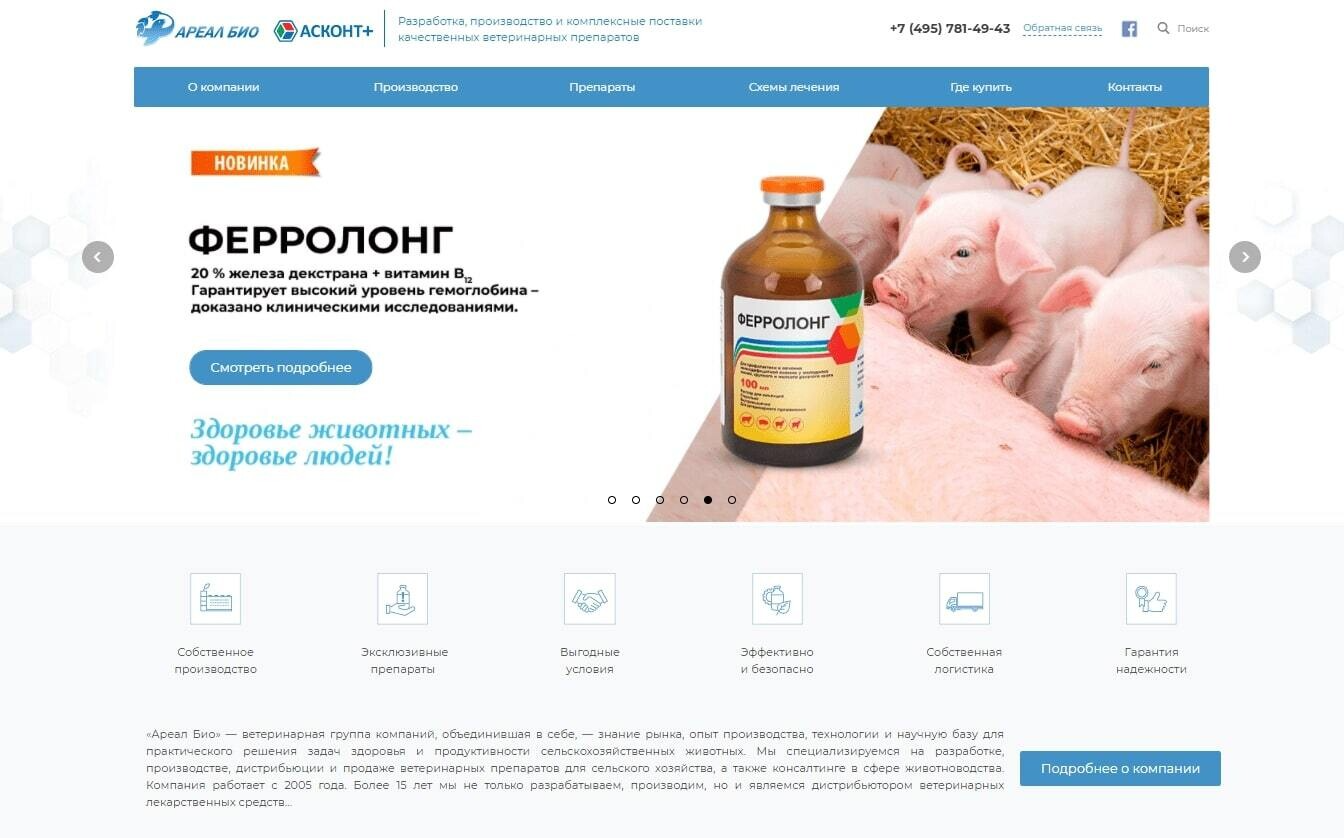 Дизайн нового сайта