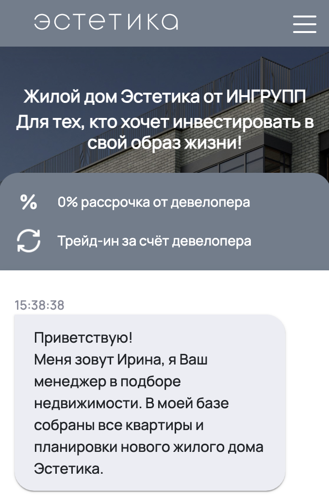 Чат-лендинг